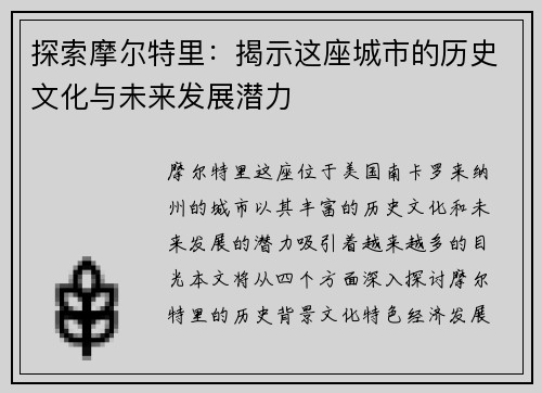 探索摩尔特里：揭示这座城市的历史文化与未来发展潜力